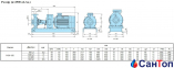 Центробежный консольный насос Calpeda N 50-125F/A (2.2 кВт, напор max 15.5 м) с осевым всасыванием 3