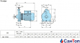 Відцентровий насос для води Calpeda NM 17/D/B (3 кВт, напір max 18 м) моноблочний з різьбовими розтрубами 2