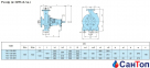 Відцентровий консольний насос Calpeda N4 100-250B/A (7.5 кВт, напір max 19.5 м) з осьовим всмоктуванням 2